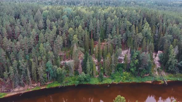  Cliff of Sietiniezis Rock, Latvia. Gauja National Park.  alt