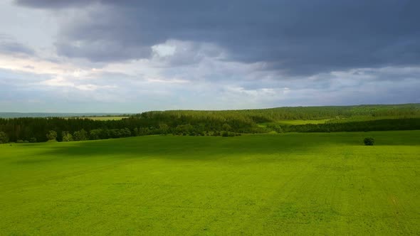 Green Meadow Nature