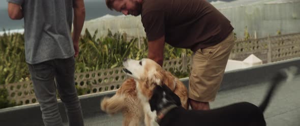 Man petting two dogs and smiling alt