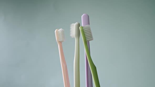Four Toothbrushes Spin alt
