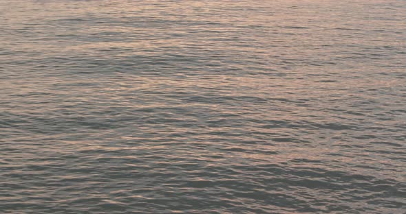 Golden sunset on the sea alt