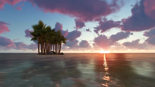 Palm Sea Sunset Clouds