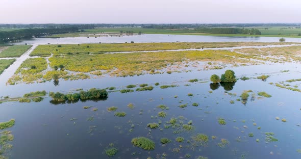 Aerial view of flooded floodplains of river Maas with trees, Megen, Netherlands. alt