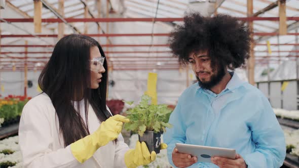 Young Agricultural Scientists in Medicine Robe with Tablet PC Examining Plant Leaves alt