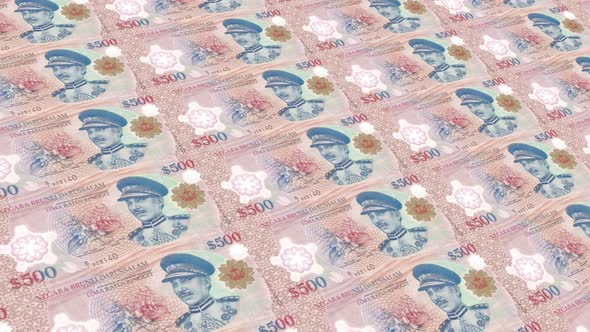 Brunei Money / 500 Brunei Dollar 4K alt