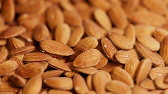Countless amount of almonds. Trucking animation. Pile of tasty crunchy nuts. alt