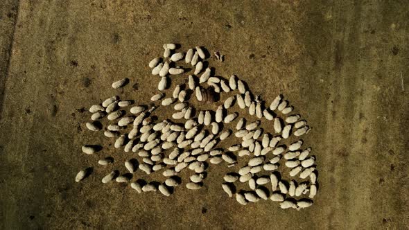 The Upper Angle of Aerial Photography alt