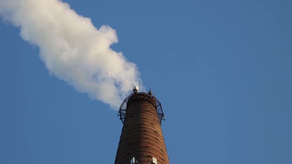 Industrial Pipe Made of Red Brick From Which There Is White Smoke