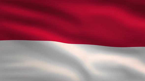 Indonesia Windy Flag Background 4K alt