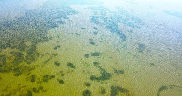Venetian Lagoon with Seaweed Thickets in Transparent Water alt