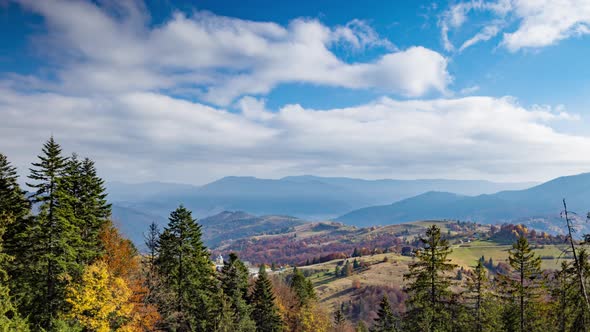Coniferous Treetops Against Highland Valley and Mountains alt