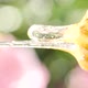 Dripping Pouring Natural Honey From Wooden Dripper on Blurred Pink Field Flower - VideoHive Item for Sale