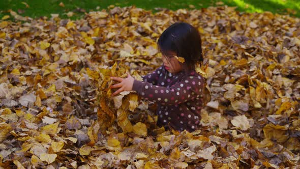 Children playing in fall leaves. Shot on RED EPIC for high quality 4K, UHD, Ultra HD resolution. alt