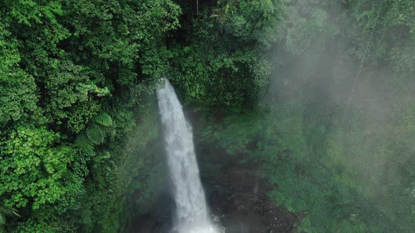 Waterfall in Green Rainforest