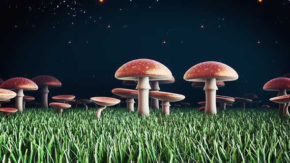 Magic Amanita Mushrooms #3