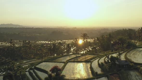 Aerial video in an amazing landscape rice field on Jatiluwih Rice Terraces, Bali, Indonesia alt