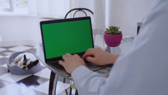 Freelancer Works at Home at Home Sit in Front of Computer