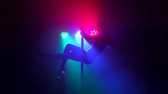 Sexy Girl is Dancing a Sensual Dance on a Pole alt
