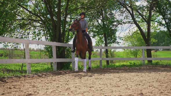 Female Jockey On A Dark Bay Horse Riding Along The Wooden Fence  Horse Riding alt