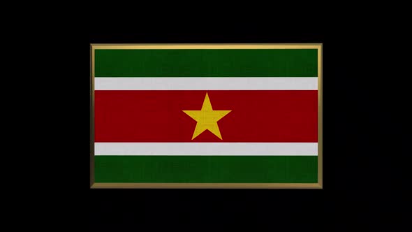 Suriname 3D Flag alt