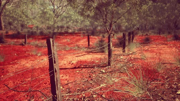 Old Rusted Small Farm Fence alt