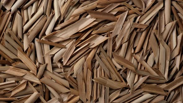 Chopped dry bulrush stalks top view, rotation alt