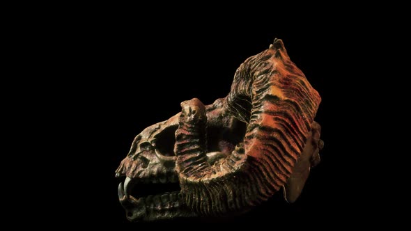 Scary Goat Skull VJ Loop alt