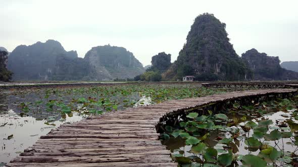 Wooden pier on lake in summer alt