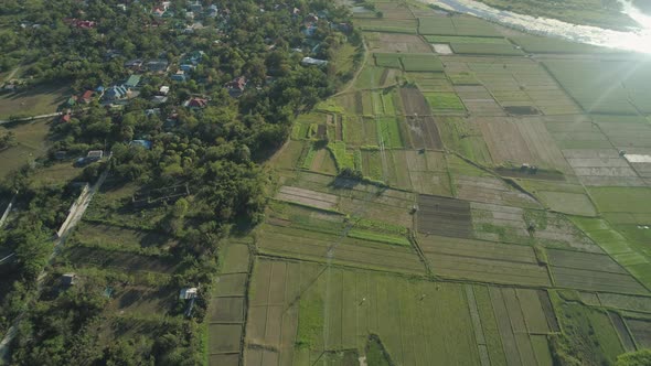 Landscape Rice Terrace Field Philippines Luzon alt