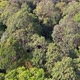  4k aerial view of untouched rainforest. 4k aerial view of dense green jungle - VideoHive Item for Sale