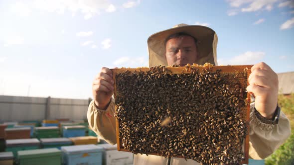 Beekeepers Looking at the Panel From the Beehive