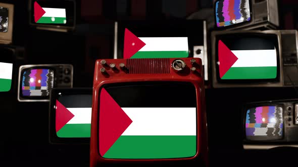 Flag of Palestine on Retro TVs. 4K.