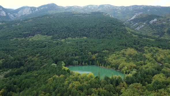 Aerial footage of a green lake with a reflection of clouds on the surface in the woods