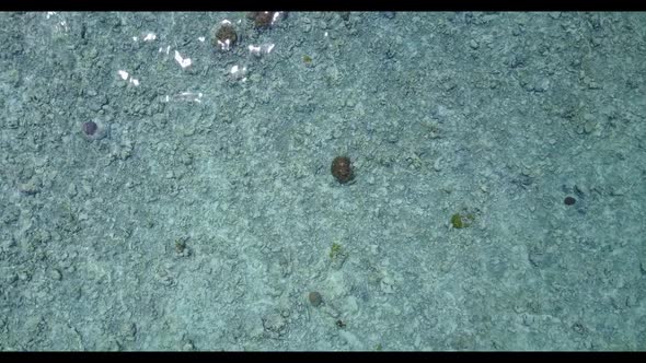 Aerial flying over sky of tranquil coastline beach vacation by aqua blue sea and white sand backgrou alt