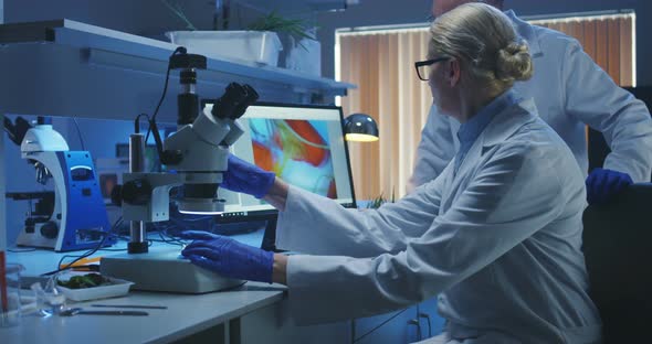 Scientists Examining Bacteria in a Lab alt
