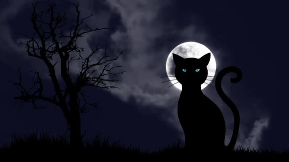 Black Cat with Blue Eyes Sitting Against Full Moon alt