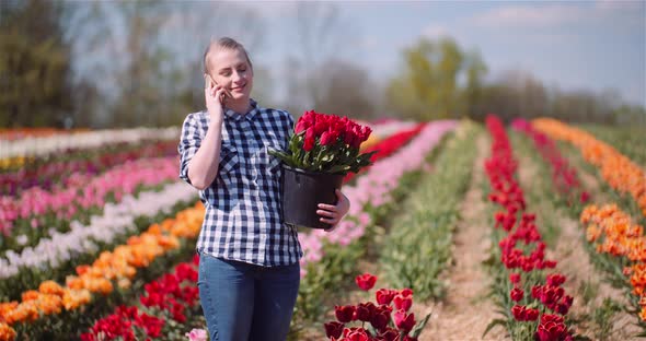 Woman Holding Tulips Bouquet in Hands While Talking on Mobile Phone on Tulips Field alt