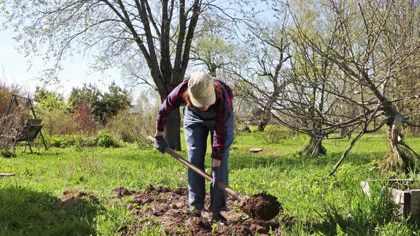 Woman Gardener Digging With Shovel a Ground Bed in Her Spring Garden