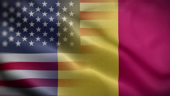 USA Chad Flag Loop Background 4K