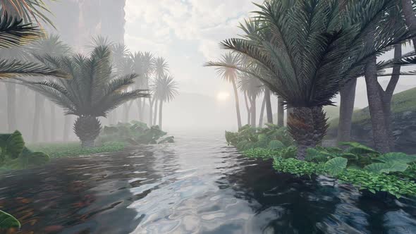 River With Palm Trees