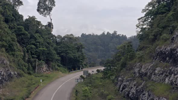 Vertigo effect on the road in the middle of the jungle