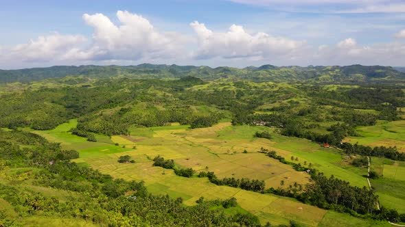 Paddy Fields in the Philippines. Mountain Landscape with Green Hills ...