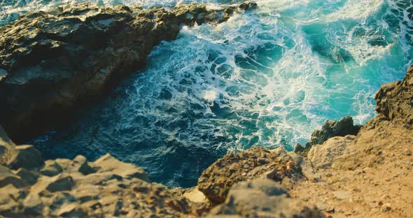 The Ability of the Ocean to Selfheal and Selfpurification of the Waters of the World alt