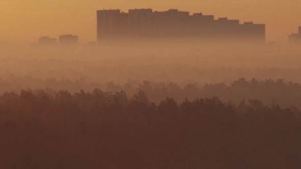 Smoke from forest fires over forest and city