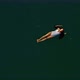 Aerial Shot of a Young Woman Enjoying a Swim Lying in the Water - VideoHive Item for Sale