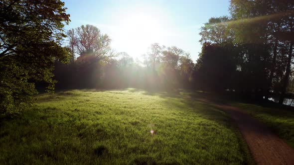 Flight Over a Meadow with Trees and Green Grass with Shiny Dew in a Park alt