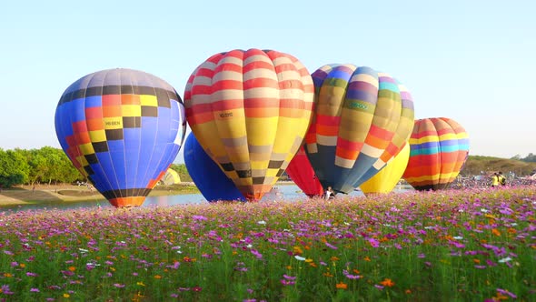 Colorful hot air balloons.