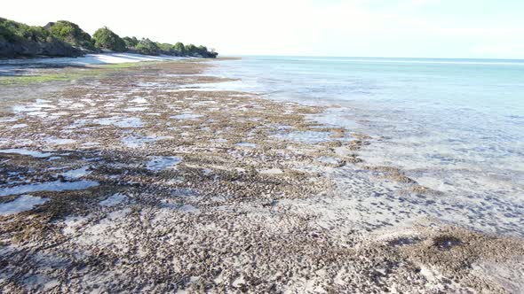 Zanzibar Tanzania  Low Tide in the Ocean Near the Shore alt