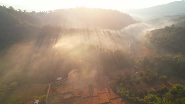 Aerial view of farmers farmland in dry season. beautiful scenery in the morning alt