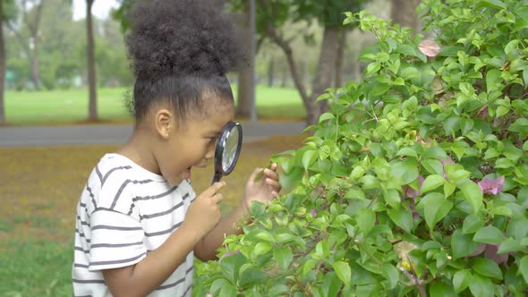 Cute little child girl looking through a magnifying glass for insects in tree at the park alt